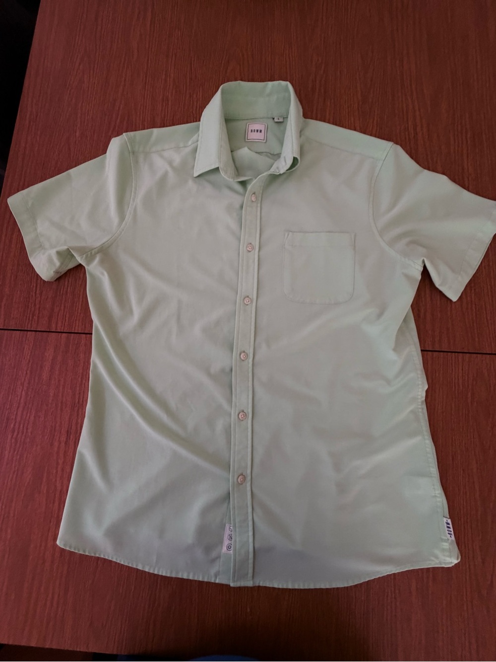 ROWM Men's Short-Sleeve Button-Down Shirt in Mint Green